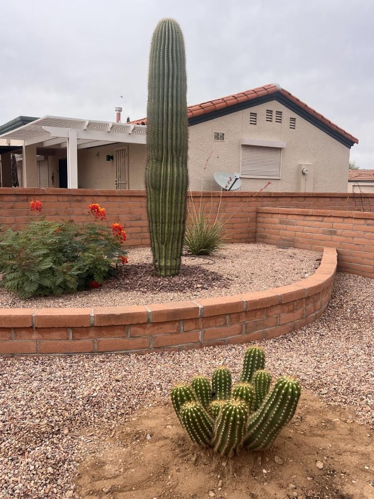 Desert residential yard with cacti, gravel landscaping, brick planters, and stucco home