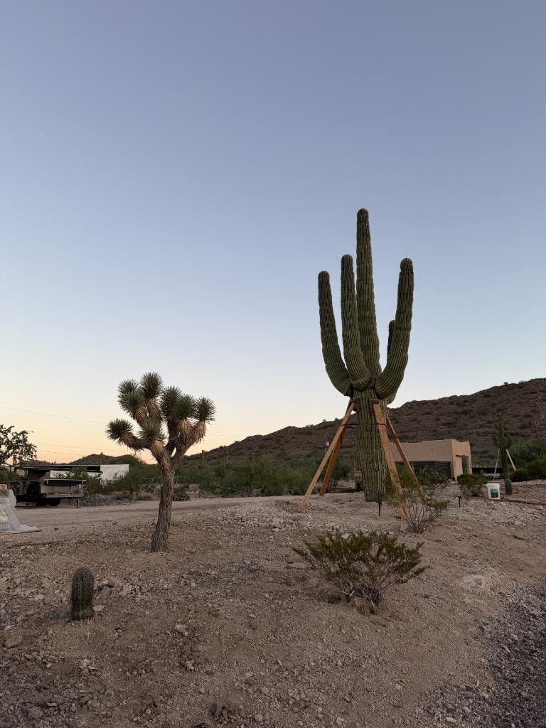 Desert property with cacti, rocky terrain, and mountain backdrop