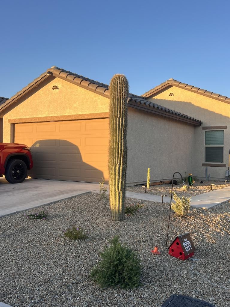 Desert residential landscape with tall cactus, gravel, driveway, and stucco home