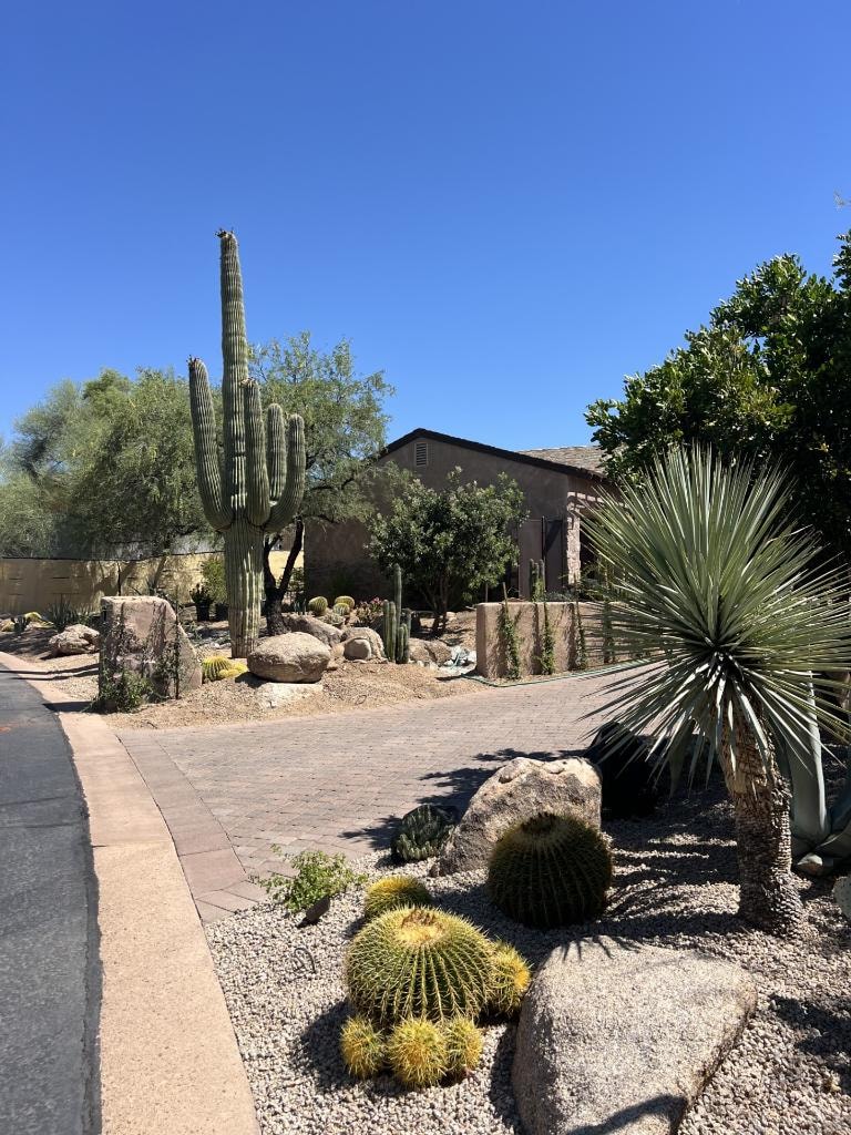 Residential desert yard with cacti, agave, gravel, stonework, and pavers