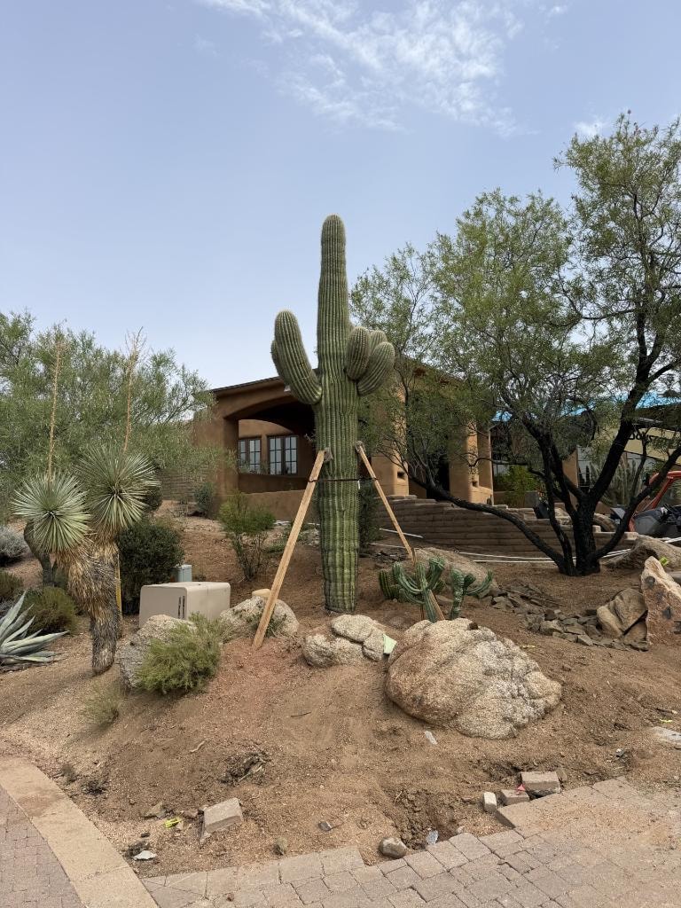 Residential yard with large saguaro, native plants, rocks, and hardscaping