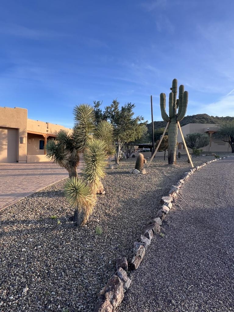 Desert landscaping with cacti, gravel, stone edging, and Southwest-style buildings